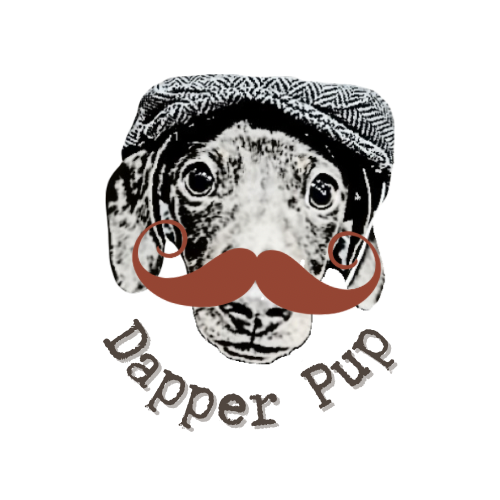 Dapper pup