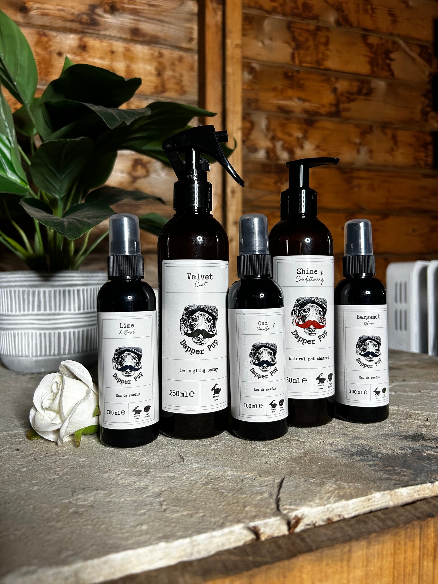 The Polished Pup Bundle